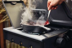 Napoleon Freestyle 365 Gasgrill, Graphit - Mit Seitenbrenner - Modell 2023 -Napoleon Napoleon Freestyle Seitenkocher 2