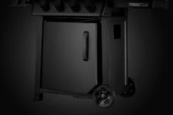 Napoleon Phantom Freestyle 425 Gasgrill, Mattschwarz - Mit Sizzle Zone Und Tür - Modell 2023 -Napoleon Napoleon Phantom Freestyle F425DSIBPK PHM Detail Compartment