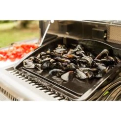 Napoleon Gusseisen-Plancha, Grillplatte -Napoleon Napoleon Gusseisen Plancha Grillplatte@@9ggzzn0s 5