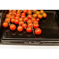 Napoleon Gusseisen-Plancha, Grillplatte -Napoleon Napoleon Gusseisen Plancha Grillplatte@@9ggzzn0s 7