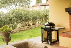 Napoleon Holzkohlegrill Kugelgrill Ø 57cm Im Rollwagen Mit Gussrost Und Deckelscharnier PRO22K-Cart-2 -Napoleon napoleon grill terrasse PRO22K CART 2